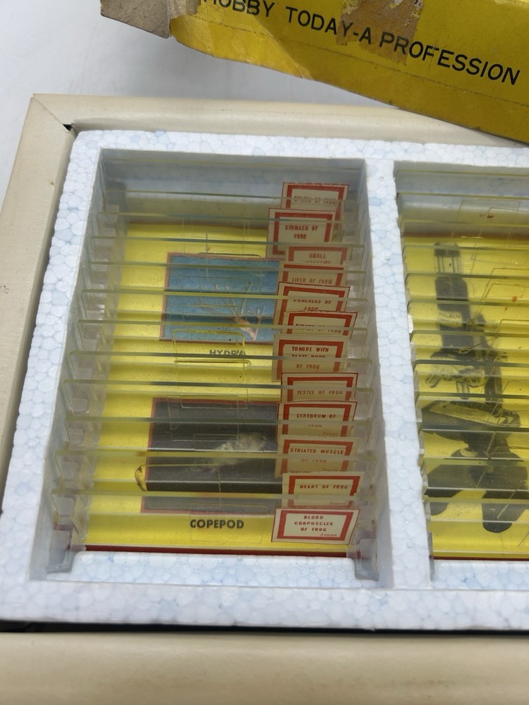 Milben 12 Microscope Slides Set No 810