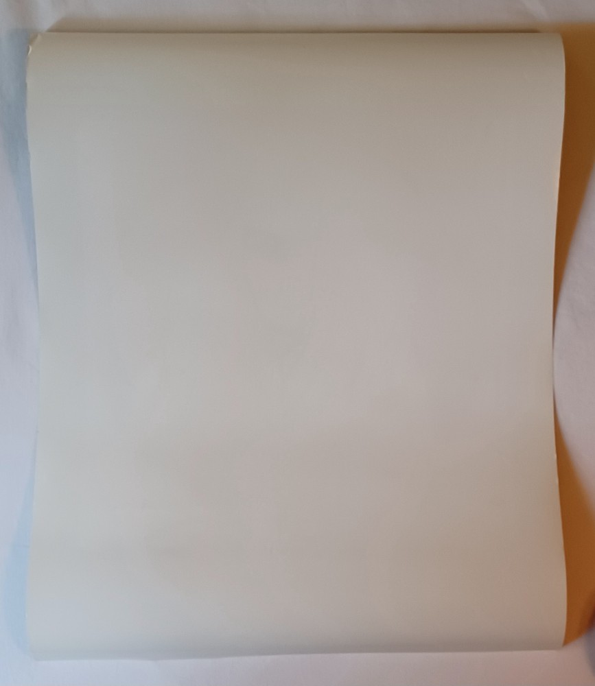 AIR The Virgin Suicides Soundtrack POSTER Astralwerks 1999 CD LP Original 18x24