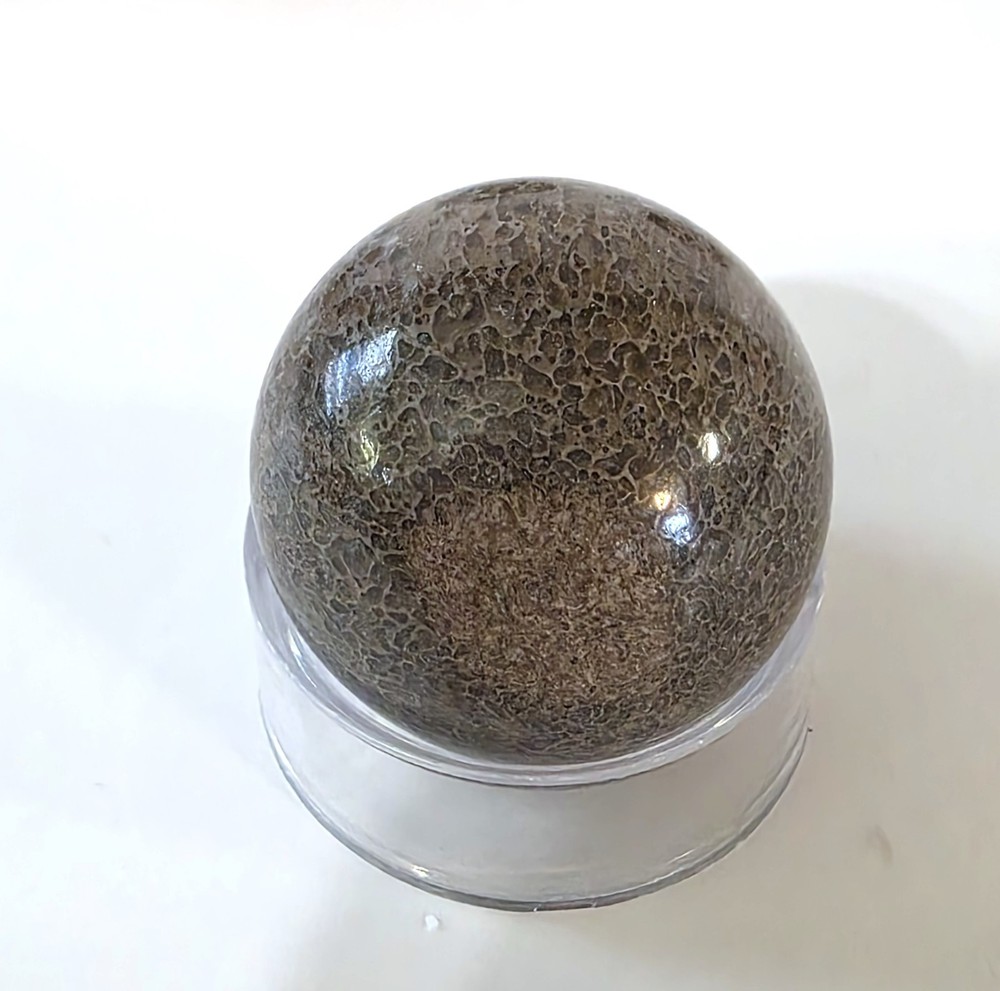 Dinosaur Bone Sphere #4- WYSIWYG