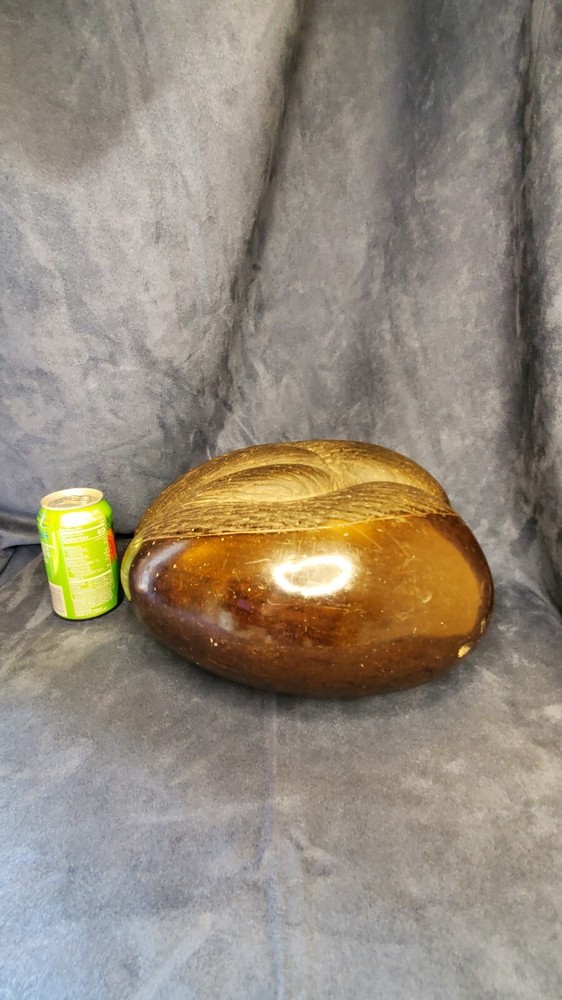 Coco De Mer Coconut "Double Coconut" "Seychelles Coconut"
