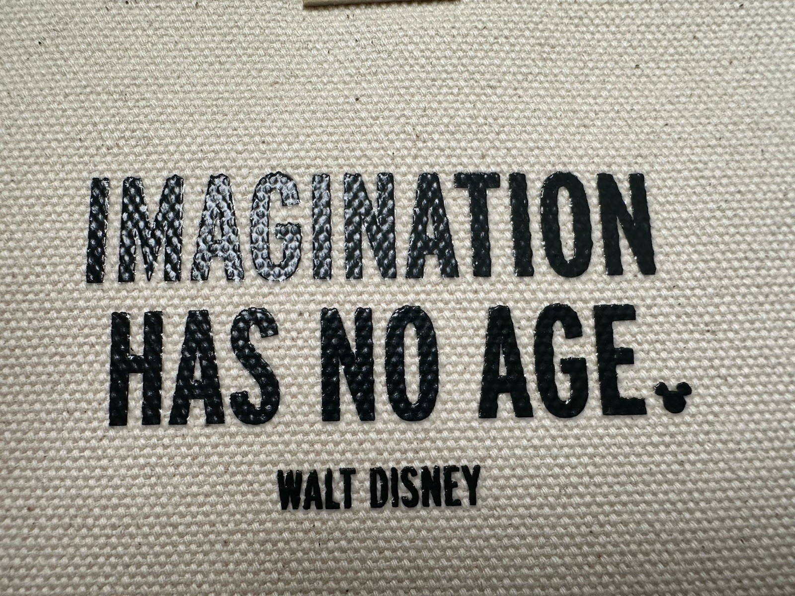 RARE Kate Spade Disney Parks "Imagination Has No Age" Canvas Tote + Clutch NWOT