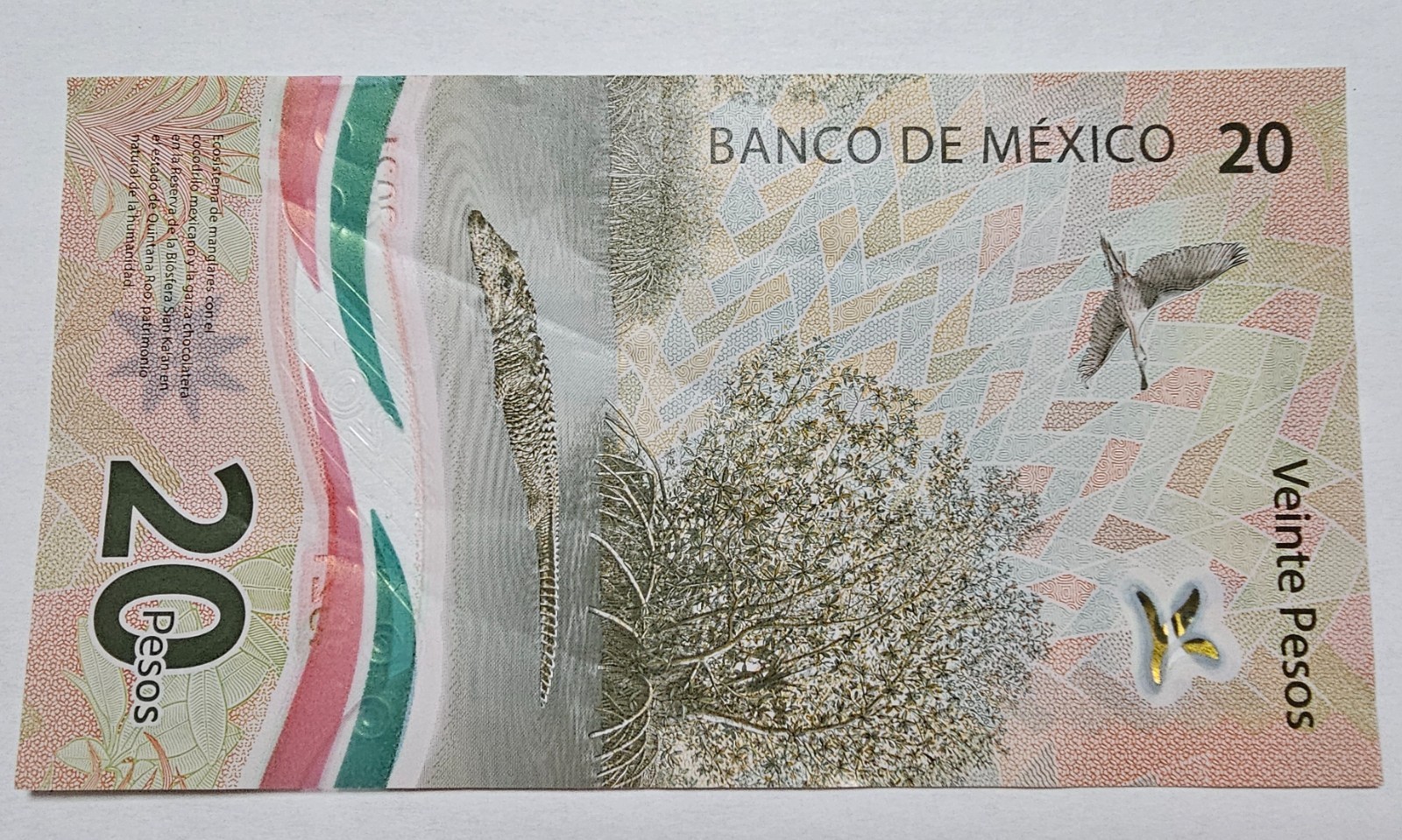 LOT OF 11 MIX BANKNOTE MEXICO 1998,1999,2018,2019,2021,2022.