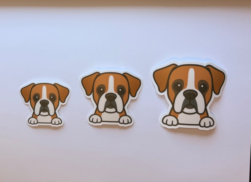 Boxer Peeking Sticker