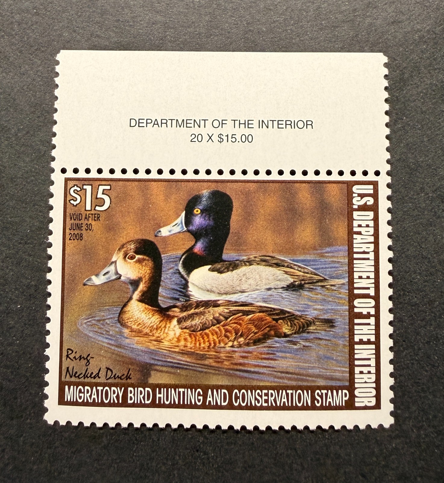 WTDstamps - #RW74 2007 - US Federal Duck Stamp - Mint OG NH