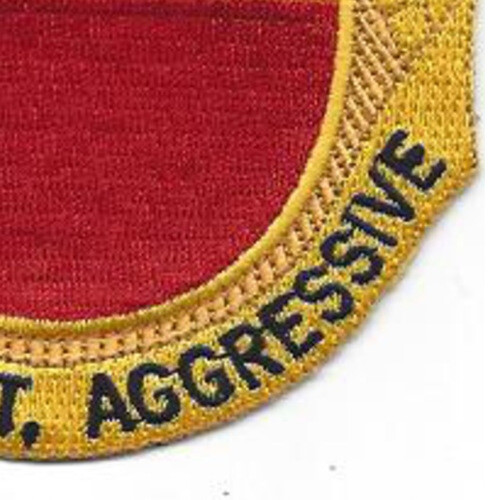 196th Armor Cavalry Regiment Patch