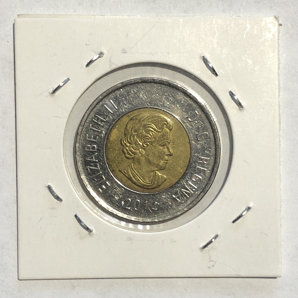 2014 Polar Bear Canada $2 Dollars Toonie - Circulated