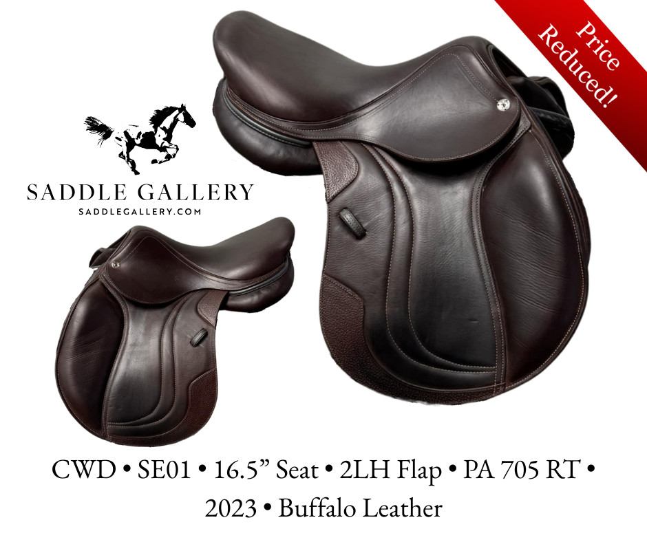 CWD • SE01 • 16.5”