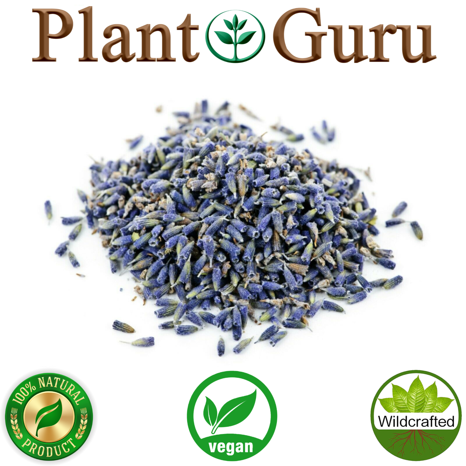 Lavender Flower Buds Dried Fresh Bulk Wholesale Lavandula Angustifolia