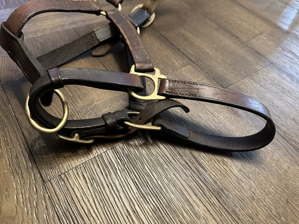 Horse Tack - Leather Track Halter