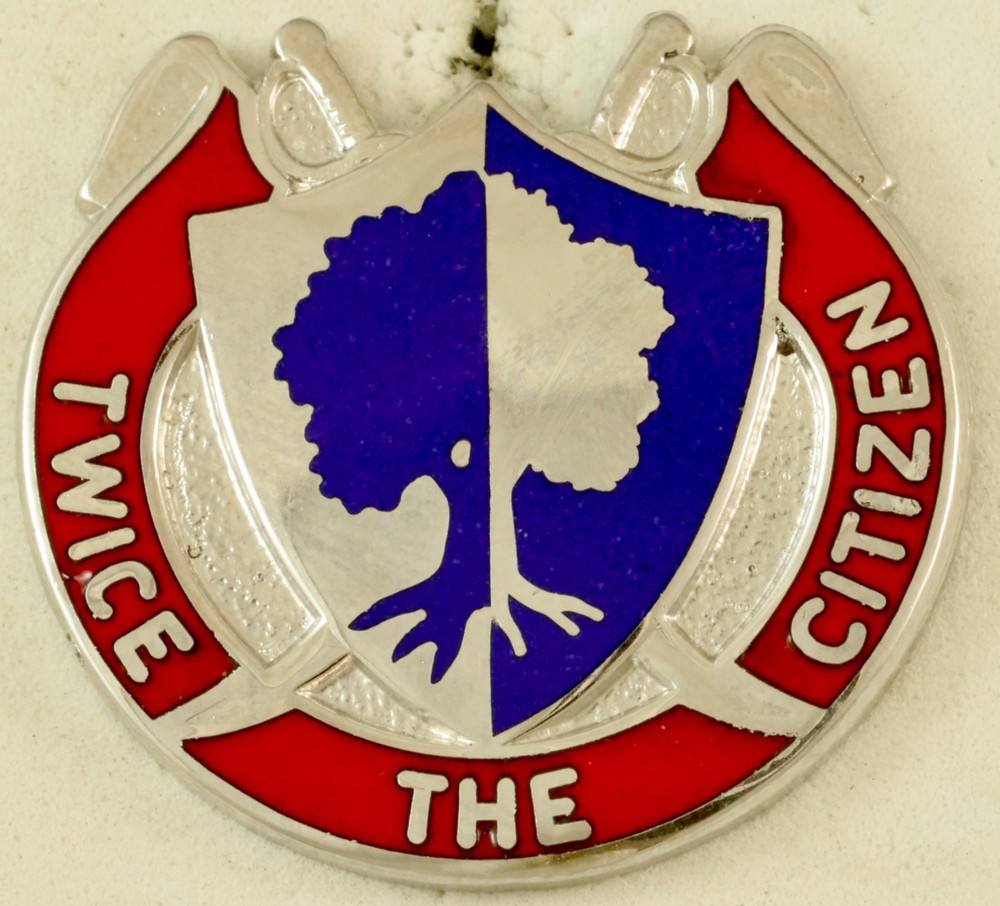 US Army Reserve Command Crest DI/DUI CB G23 HM