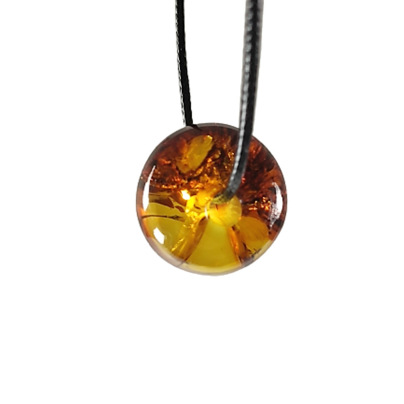 Cognac amber Collie On Thong