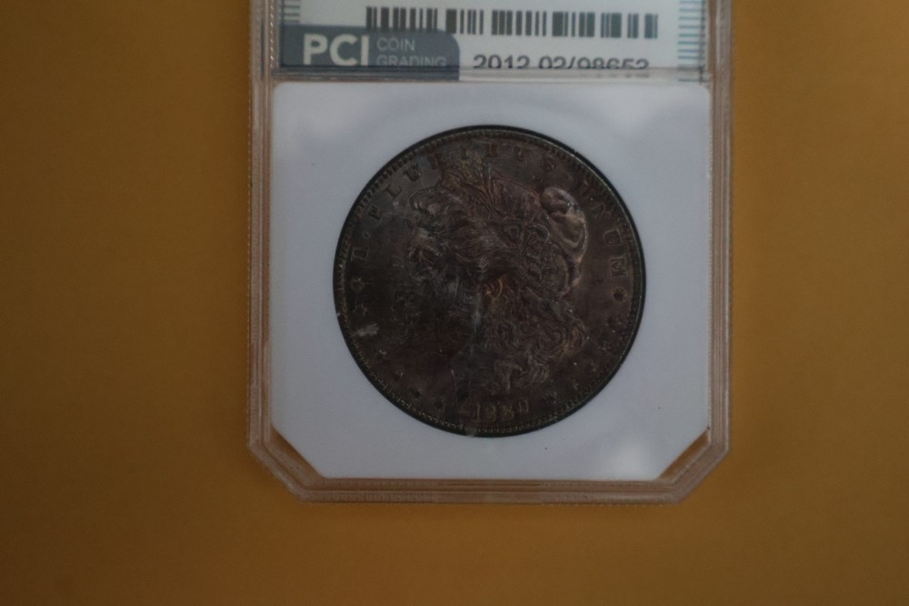 1889 MORGAN DOLLAR - TONING