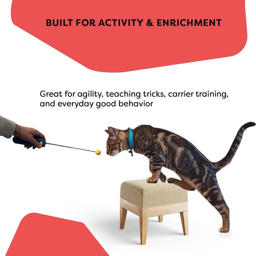 Cat Training Clicker Target Stick – Positive Reinforcement Tool for Behavior