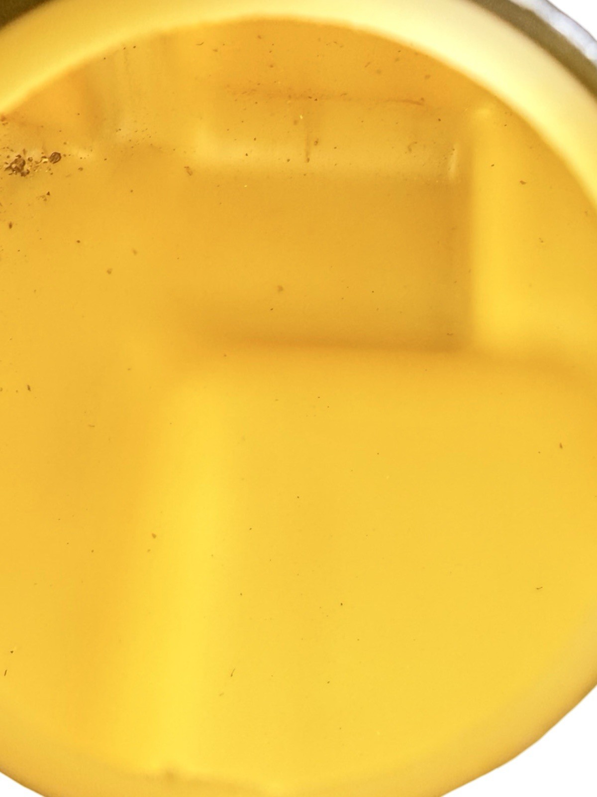 1993 Polaris Trail Boss 250 OEM Fuel Tank Assembly 5430968