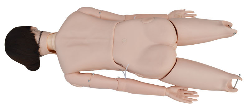 Patient Care Manikin Model Advanced Multifunctional Study Training Mannequin