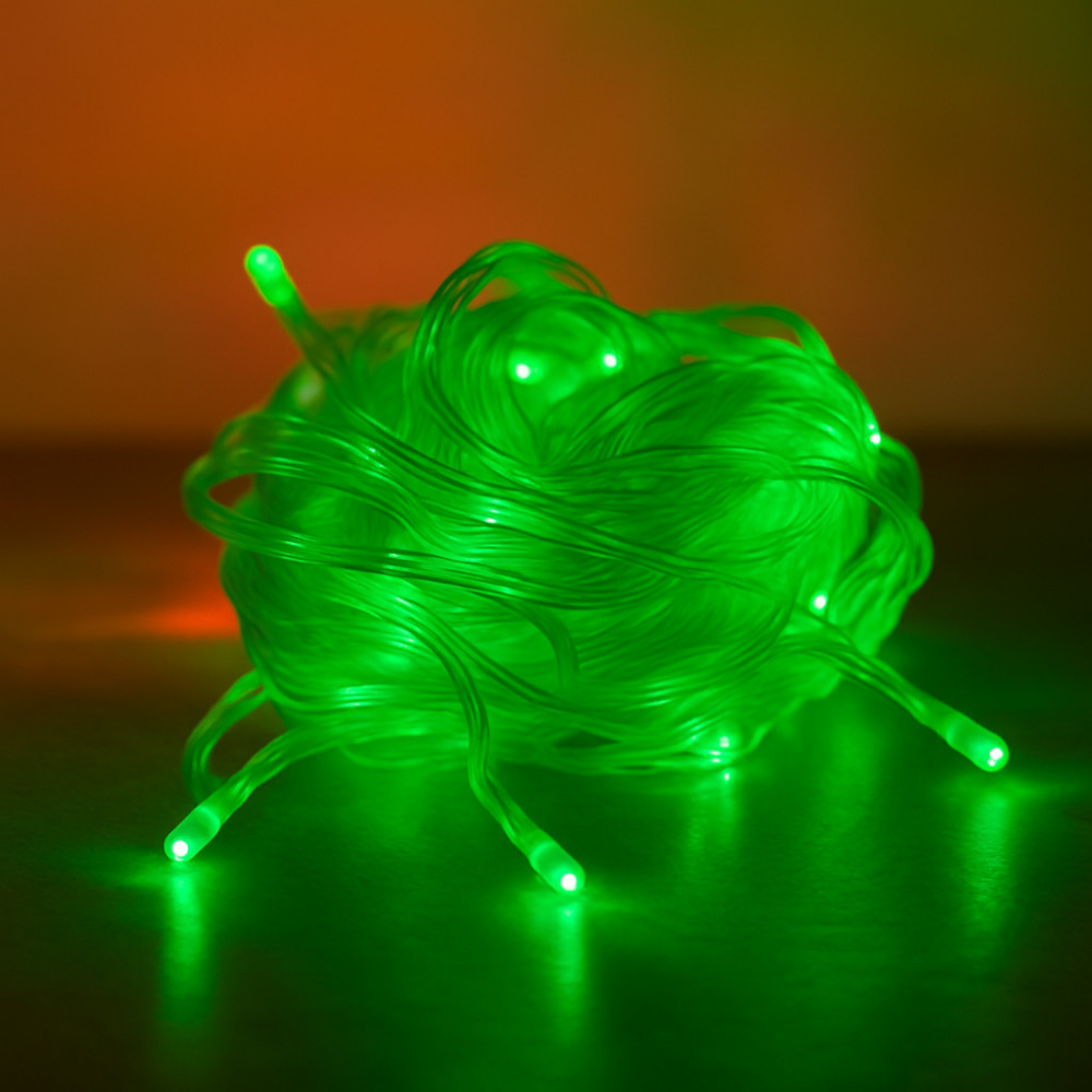 Elegani 100 LED String Lights with Flexible Clear Wire – 33ft, Green