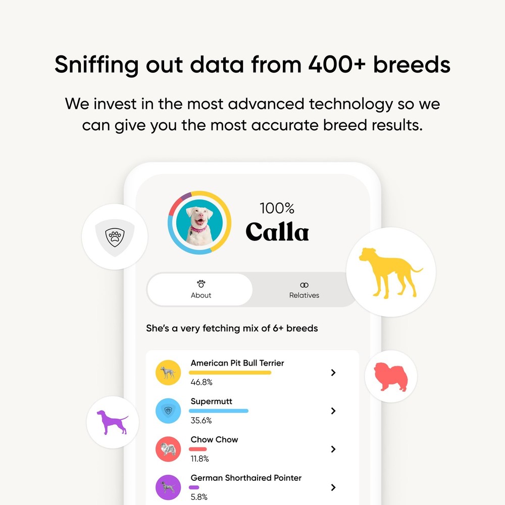 Breed Identification Kit - Most Accurate Dog DNA Testing Kit - 99% Breed Ance...