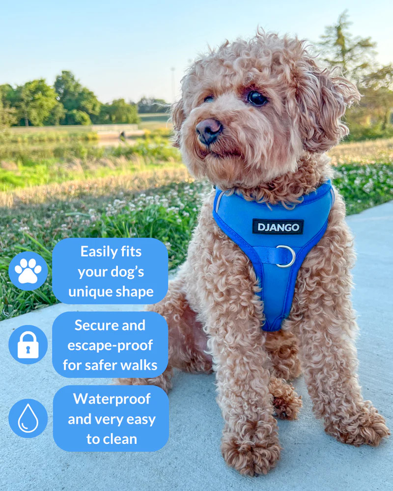 NWT Django Tahoe No Pull Dog Harness
