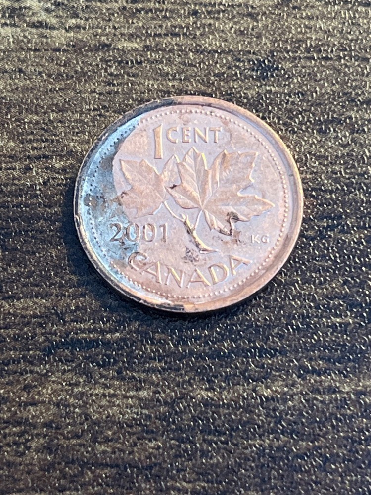 2001 Canada 1 One Cent Actual Coin TK8925*