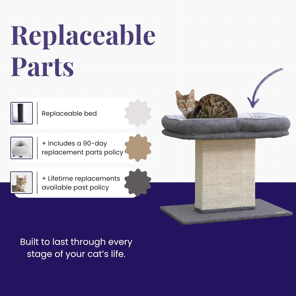 Catry Mellow 2-Level 19" Cat Tree with Large Washable Replaceable Bed, Big Si...