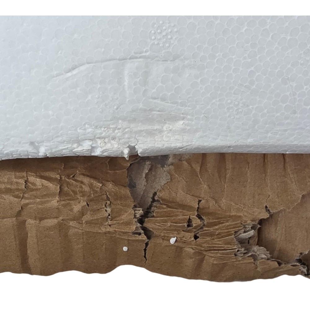 UCIN vibration plate exercise machine.