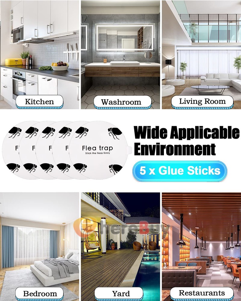 5Pcs Disposable Flea Trap Sticker Bug Dome Flea Trap Refill Flea Glue Discs Safe