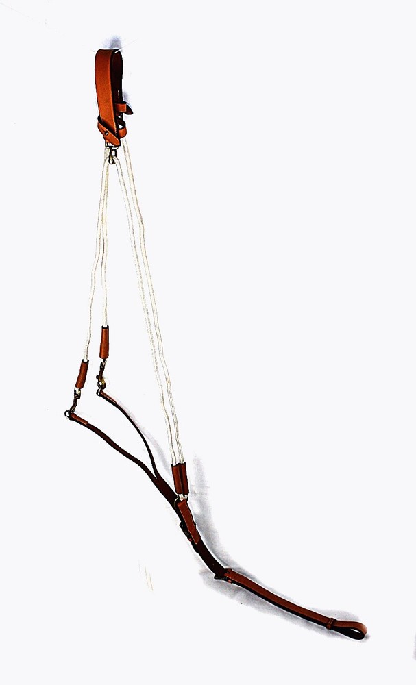 Leather And Rope Gogues