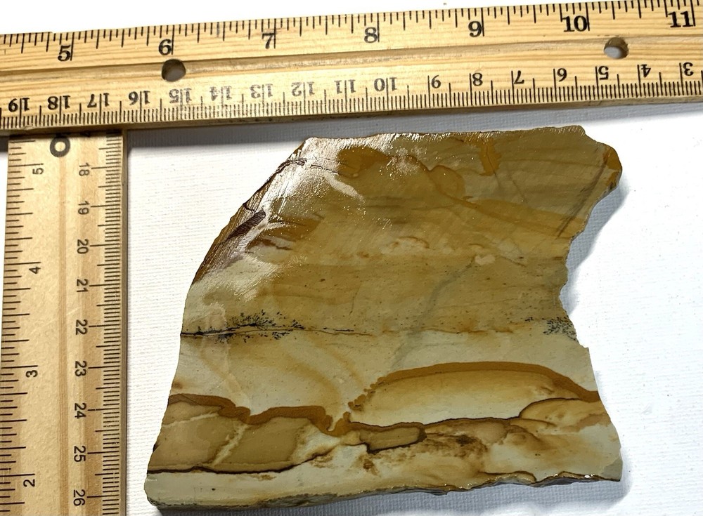 owyhee jasper slab