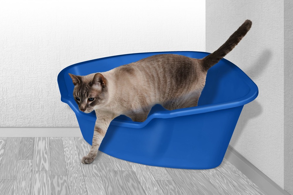 Van Ness High Sided Pan, Corner Cat Litter Box, Durable Plastic Construction