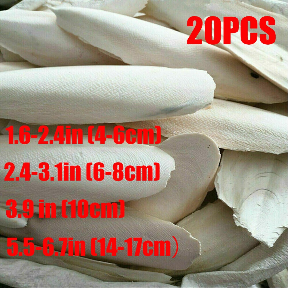 20 PCS Cuttlebone for Birds Parrot Chewing Cuttle Bone for Sharp Beaks USAA+