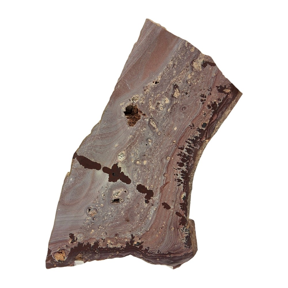 Apache Dendritic Rhyolite, Apache Sage, cabbing rough, #R-7031