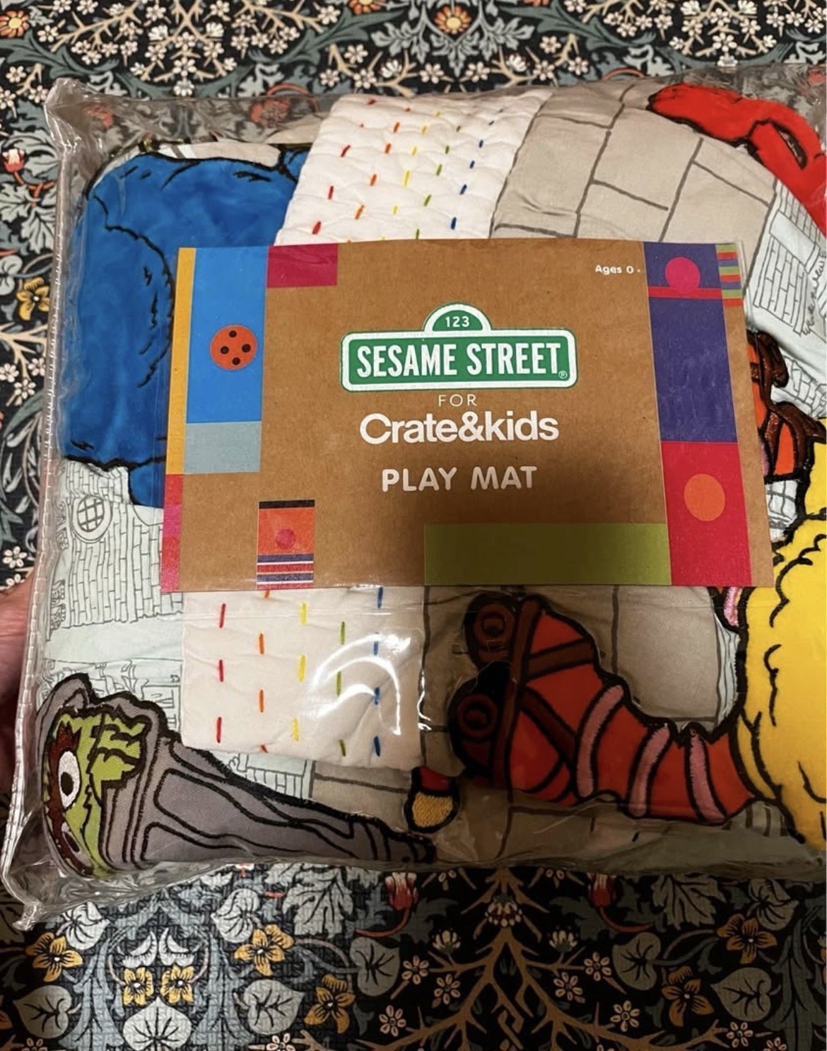 Land of Nod Crate & Barrel Sesame Street  Baby Activity Play Mat Rare