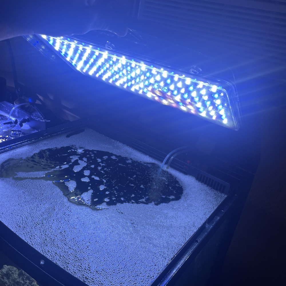 Complete Fish Aquarium