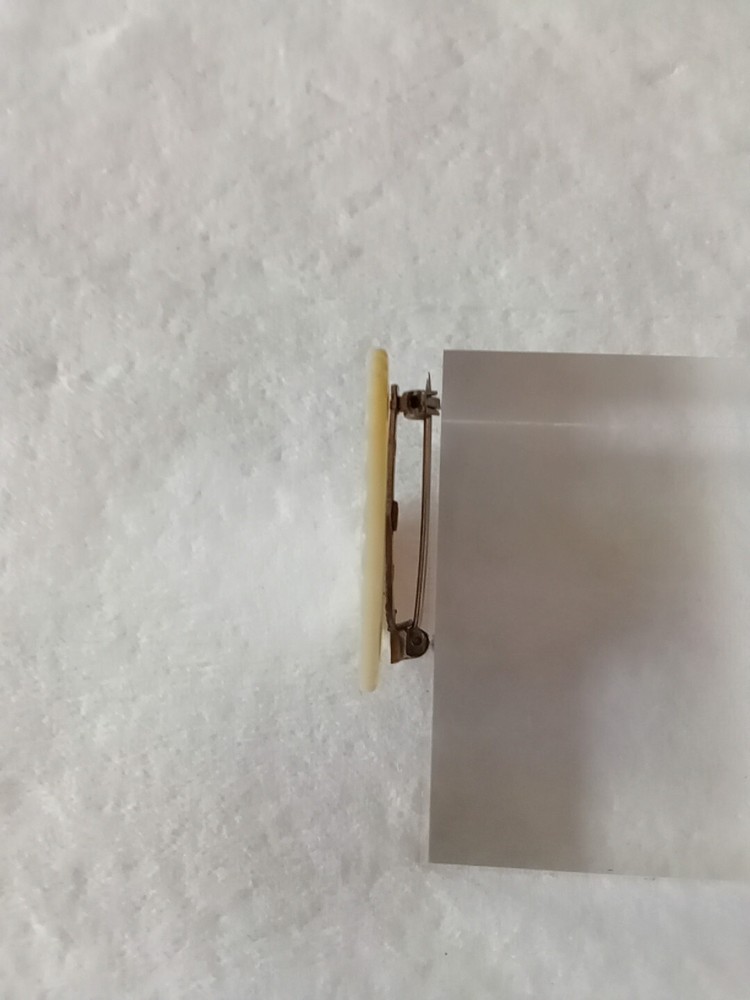 Etched Shell Sailboat ⛵ Brooch