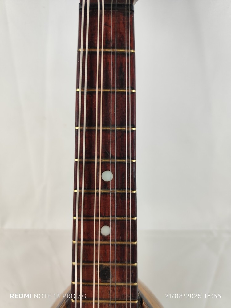 Mandolin 4/4 Testori Francesco 1900 Naples 曼陀林 만돌린マンドリン