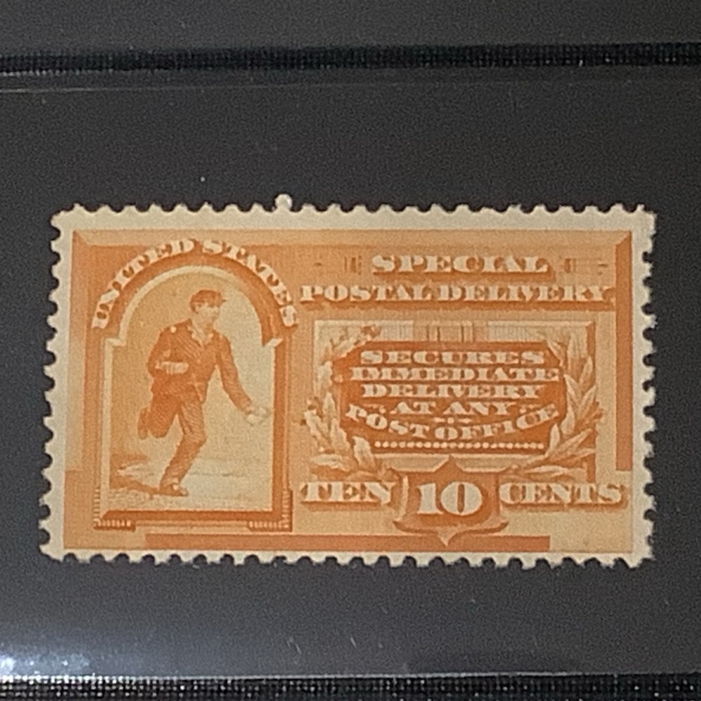 USA 1893 Special Delivery Scott E3 MLH
