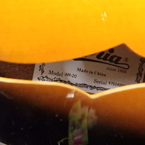 Aria AM-20 Mandolin with case Aria