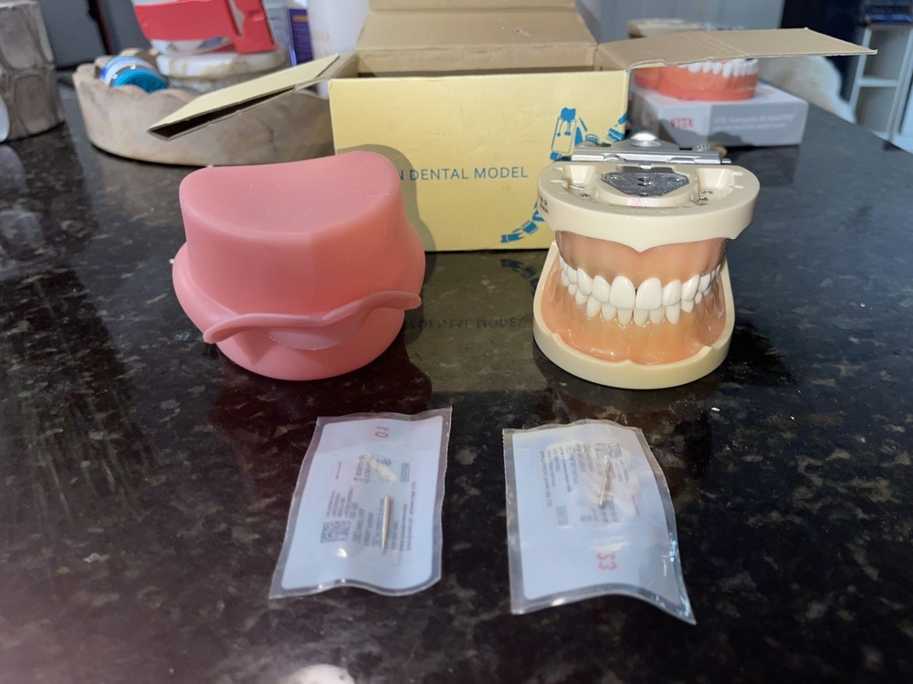 TWO New Nissin Dental Models