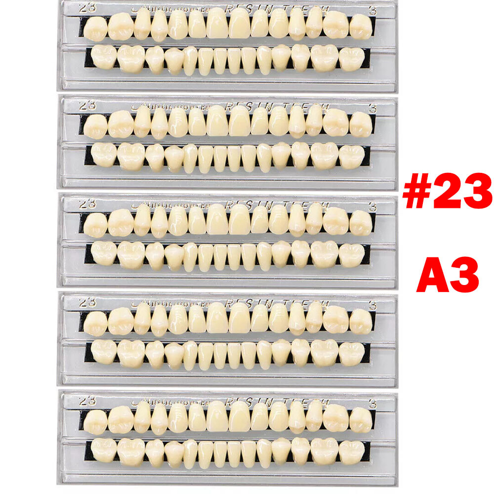 Dental Acrylic Resin Denture Shade A2 A3 Upper Lower Full Set False Teeth