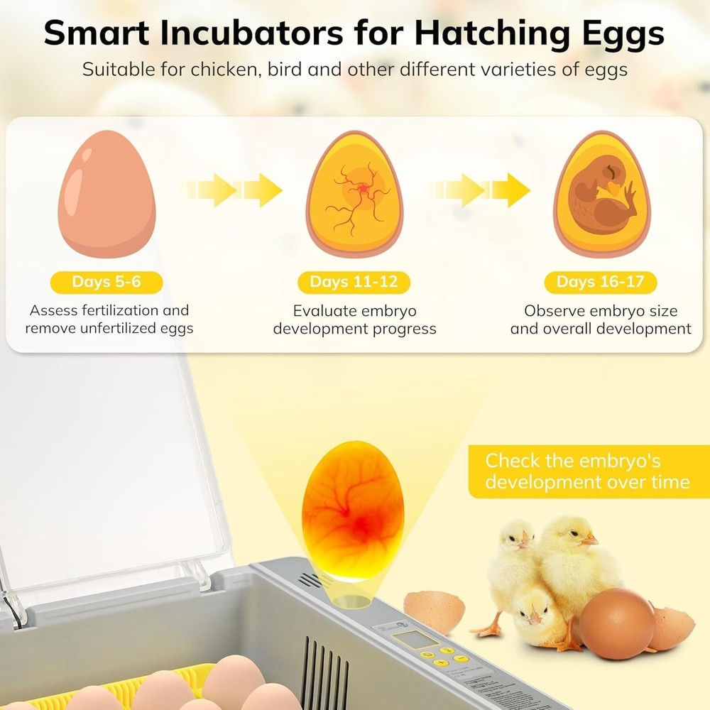 36-60 Egg Incubator with Automatic Egg Turning and Humidity Control