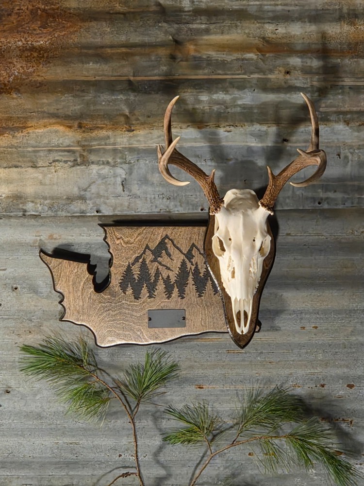 European skull state mount