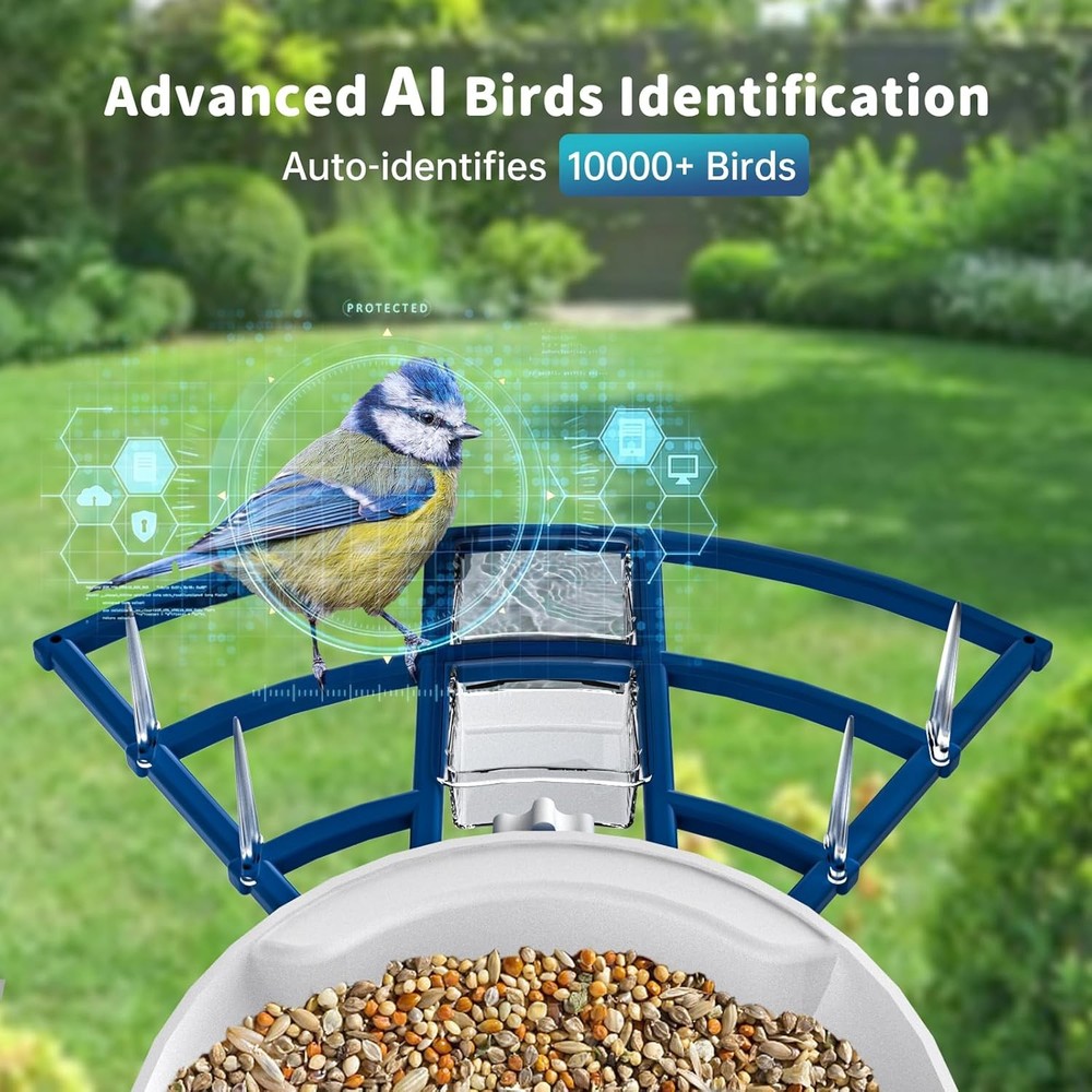Smart Bird Feeder with Camera Solar Powered & AI Bi rd Identification
