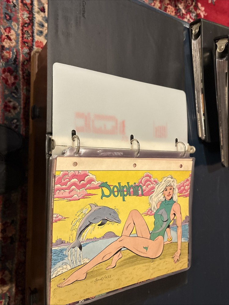 Comic Book Bio Binder