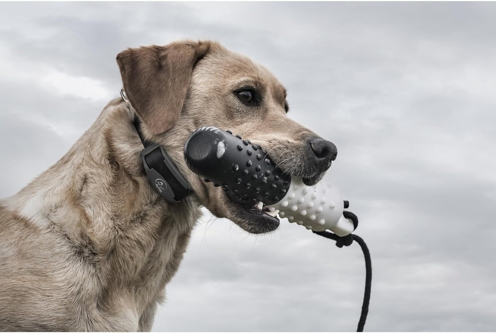 FieldTrainer 425X - Remote Trainer Designed for Off-Leash Control & Training ...