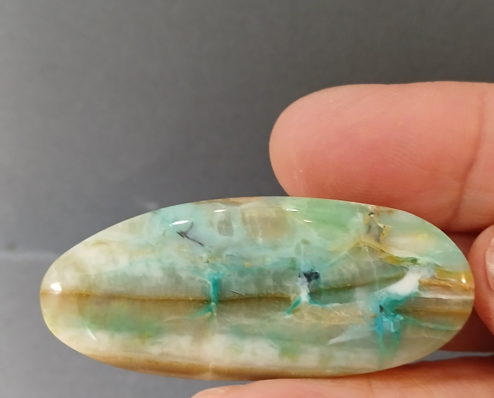 Indonesian Opalized Wood Cabochon