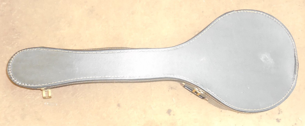 Aida 5-String Banjo in Case