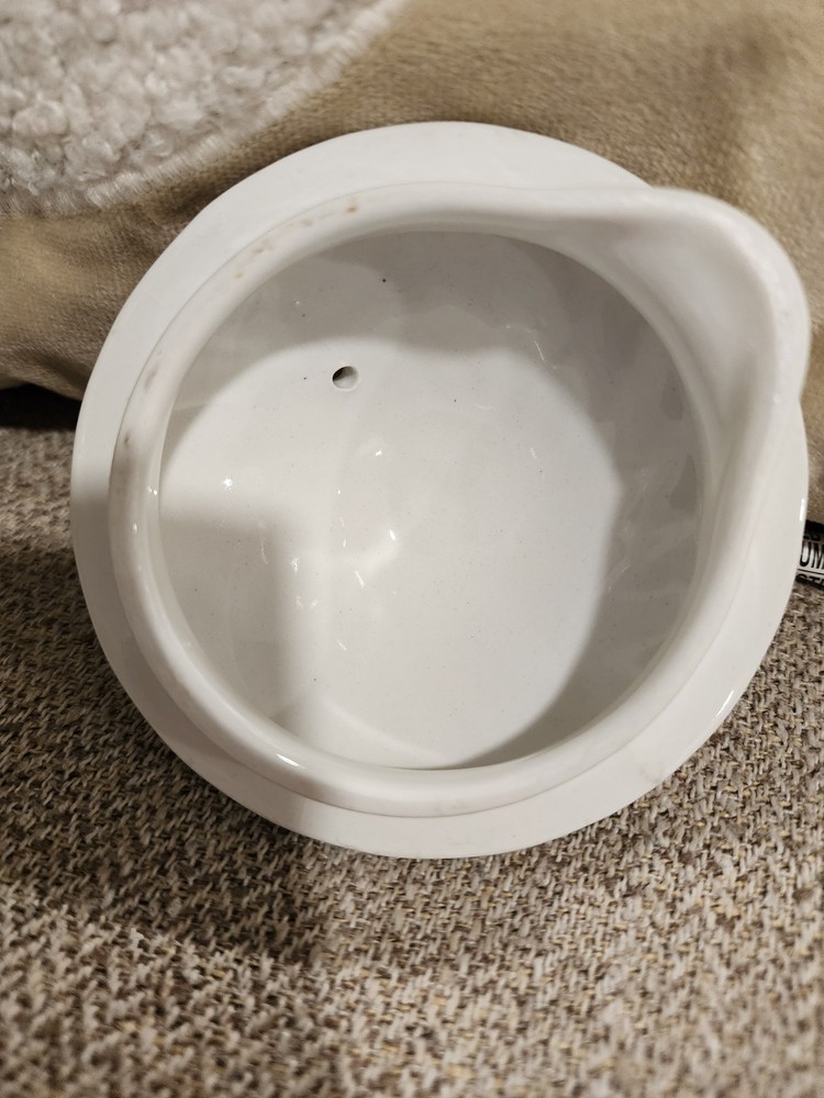 Johnson Brothers Devon Sprays Tea Pot