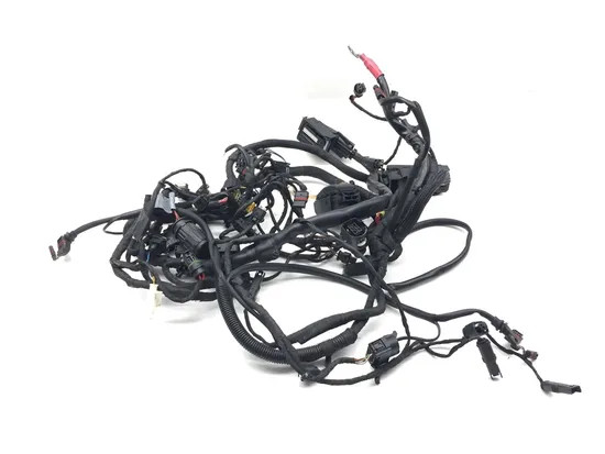 Main Engine Wiring Harness 2009 BMW F800GS 3131