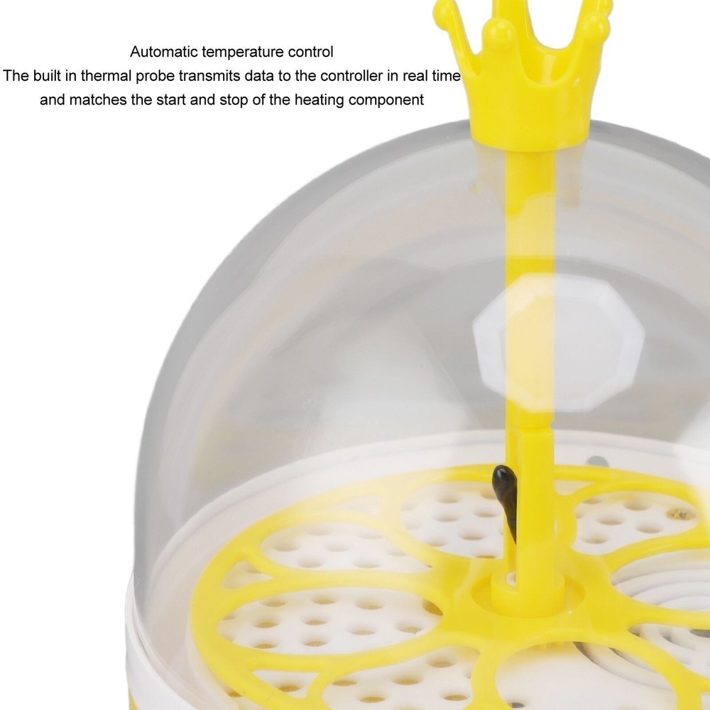 Mini Egg Incubator for Home Automatic Temperature Humidity Control 4 Eggs
