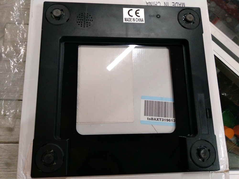 TY6110S Talking Bathroom Scale